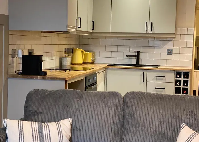 The Old Shop * 拉斯姆兰